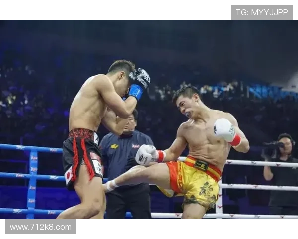 2026年武林风最新比赛精彩回顾与赛程安排