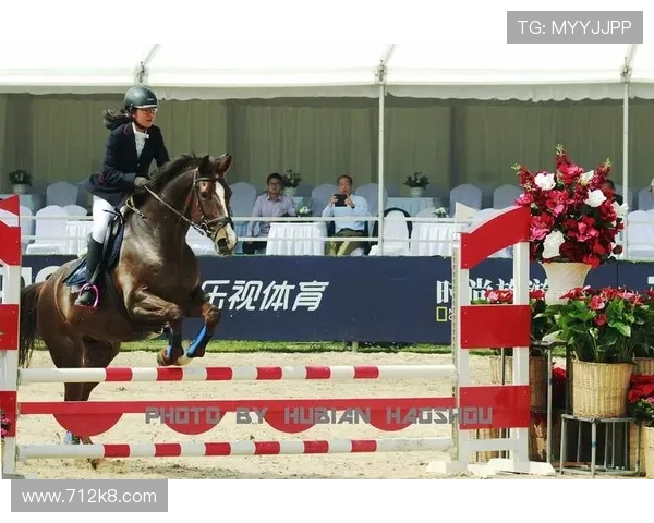 2026年马术朝阳公园比赛精彩回顾与精彩瞬间